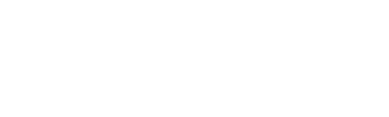 Presidente Renan, número 14. Vice, Coronel Medina.